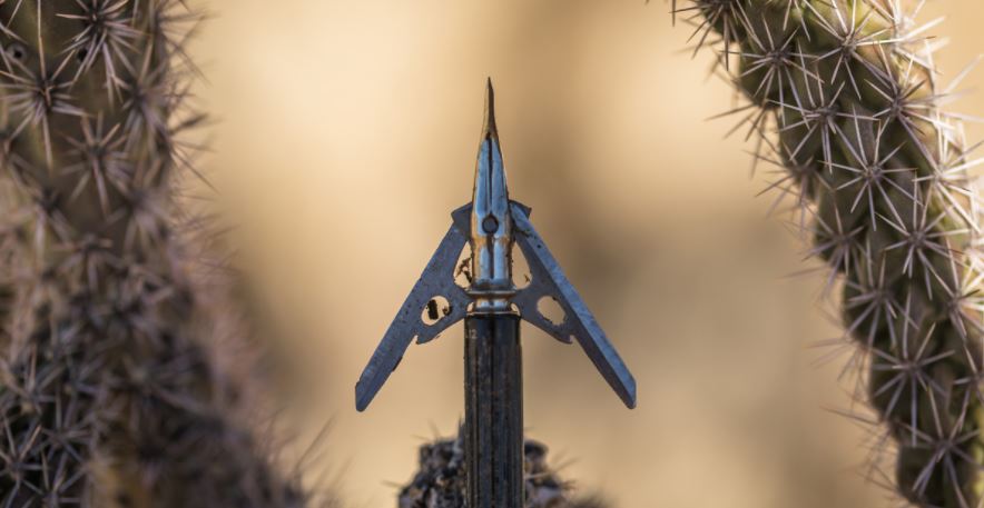 Best Broadheads For Crossbow Fixed & Mechanical Blades