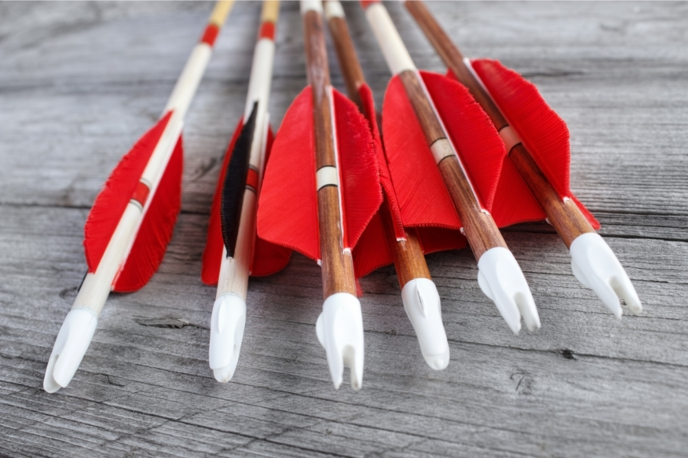 What Is A Nock In Archery?